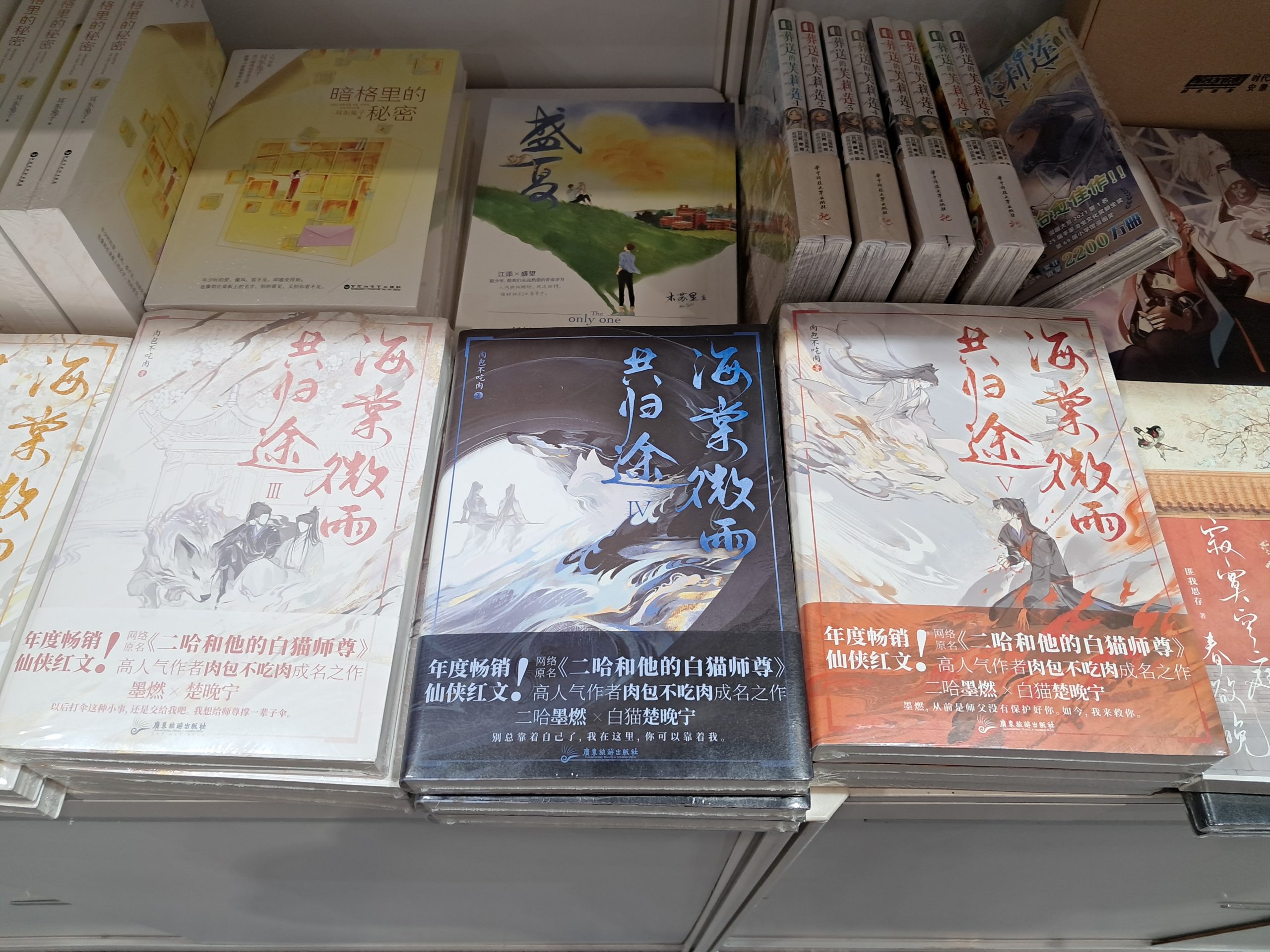 大陸簡體字小說「海棠微雨共歸途」系列作品。 (圖片來源：復興電台記者攝)